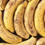 حقيقة زيادة وزن الموز بعد الحصاد