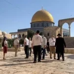 زين الدين زيدان مديرًا فنيًا لمنتخب فرنسا قريبًا