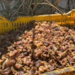 ضبط مصنع غير مرخص لتصنيع حلوى الأطفال في الغربية