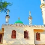 وزارة الأوقاف تفتتح 16 مسجدًا جديدًا