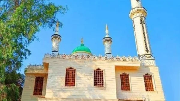 وزارة الأوقاف تفتتح 16 مسجدًا جديدًا