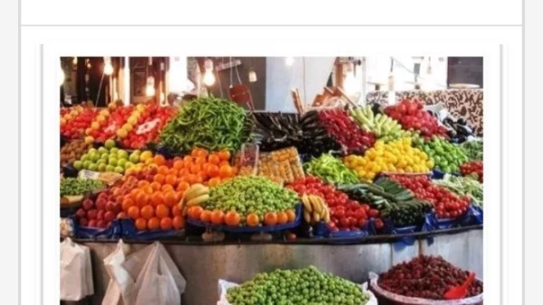 استقرار أسعار الخضراوات والفاكهة في أسوان اليوم