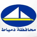 قيادات شبابية بدمياط تساهم في تجهيز وجبات للأسر المحتاجة