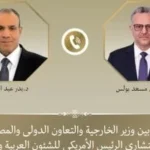 وزير الخارجية المصري يناقش تطورات ليبيا مع مستشار أمريكي