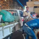 جهود مجابهة فرز المخلفات في مدينة بورفؤاد