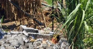 إزالات فورية للتعديات على الأراضي الزراعية بالمنوفية