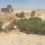 إزالة 1120 فدانًا من التعديات في قنا