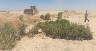 إزالة 1120 فدانًا من التعديات في قنا