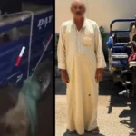 انتقام من النباح: القبض على معذب كلبين في المنوفية