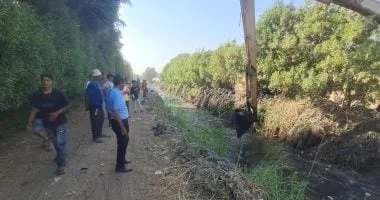 عدم العثور على تمساح شبرامنت في أول يوم من البحث