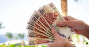 أرباح شهرية مضمونة تجرّ ضحايا الاحتيال