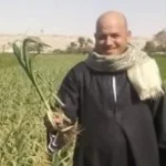 نهضة الزراعة في مصر: 12 عاماً من التحول الأخضر