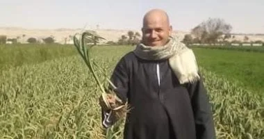 نهضة الزراعة في مصر: 12 عاماً من التحول الأخضر