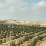 حالة الطقس في شمال سيناء: أجواء معتدلة واستقرار