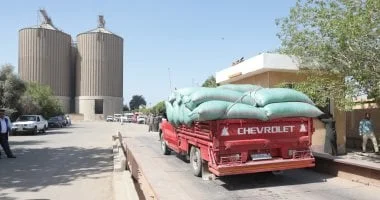 توريد 416 ألف طن قمح في البحيرة