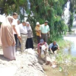 إطلاق 150 ألف زريعة سمكية في الباجورية