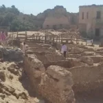 اكتشاف حفرية كائنات حلقت في سماء مصر قبل 95 مليون سنة