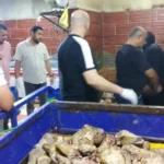 حملة تموينية في مطروح تضبط 120 رأس أغنام غير صالحة