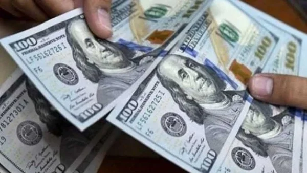 استقرار سعر الدولار أمام الجنيه اليوم 7 يوليو 2026