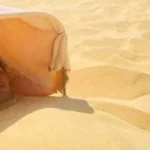 انتعاش السياحة العلاجية في واحة سيوة هذا الصيف