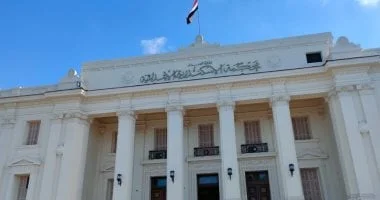 السجن 7 سنوات لميكانيكي تعدى على زوجته حتى الموت