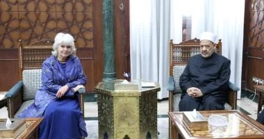 شيخ الأزهر يدعو لتوافق عالمي حول حقوق الإنسان