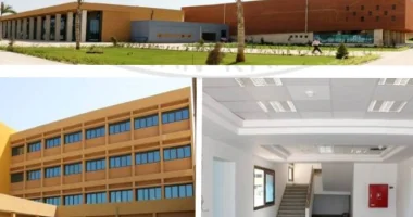 وظائف أكاديمية وقيادية جديدة في معهد وردان