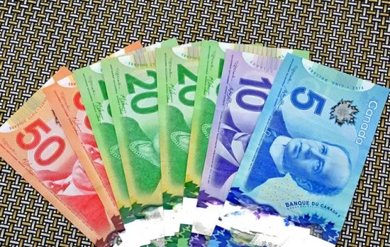 سعر الدولار الكندي في البنوك اليوم