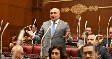 قوة الدولة المصرية في كلمة الرئيس السيسي