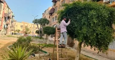 بورسعيد تعزز المساحات الخضراء بمبادرة 100 مليون شجرة