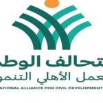 تنظيم العمل الأهلي في مصر: قانون يحقق التنمية المستدامة