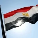 السفارات المصرية تحتفل بالعيد الوطني في الخارج