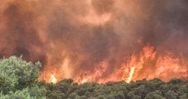 إجلاء 40 ألف شخص قرب بوردو الفرنسية بسبب حرائق الغابات