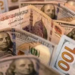 استقرار سعر الدولار في مصر 24 يوليو 2026