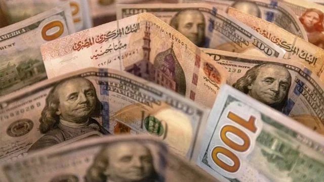 استقرار سعر الدولار في مصر 24 يوليو 2026