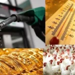 أسعار البنزين والسولار وتغيرات الطقس في مصر