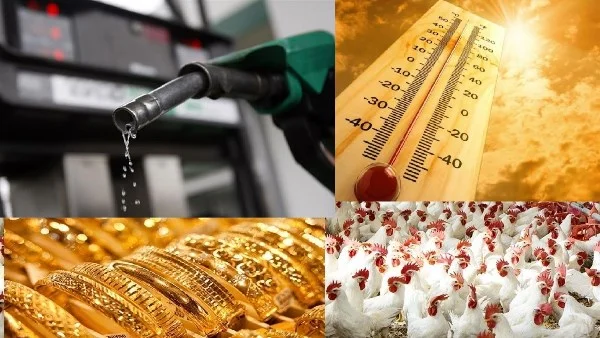 أسعار البنزين والسولار وتغيرات الطقس في مصر