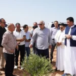 إنشاء مزرعة زيتون كبرى وقف خيري في مطروح