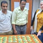 ضبط مخبز بالإسكندرية بحيازة 40 بطاقة تموين