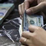 استقرار سعر الدولار أمام الجنيه المصري
