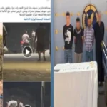 ضبط 3 تجار مخدرات في بني سويف