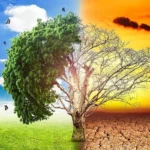 تأثير السوبر نينيو على المناخ في مصر والعالم