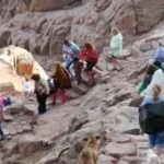 سانت كاترين تستقبل 270 سائحاً من مختلف الدول