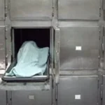 مصرع شخص إثر حادث تصادم في الدقهلية