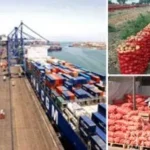 165 ألف طن صادرات غذائية لمصر وإنجلترا تتصدر الاستقبال