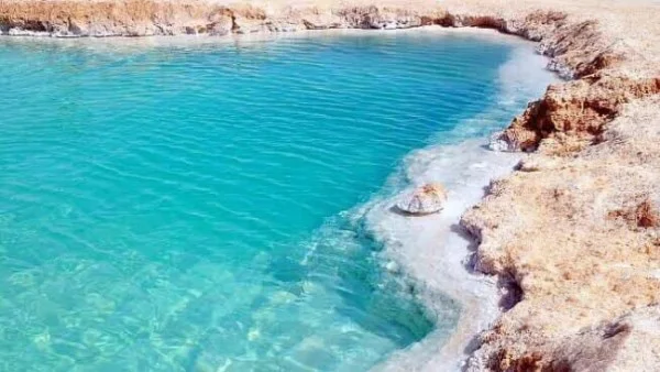 التوسع في المعارض الدولية يعزز مكانة مصر السياحية