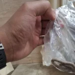 شاب يحمل ثعبانًا لدغة إلى مستشفى نجع حمادى