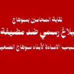 نقابة المحامين بسوهاج تتقدم ببلاغ ضد مضيفة طيران مسيئة