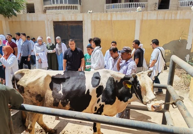 قافلة بيطرية مجانية في قرية الكوم الطويل بكفر الشيخ
