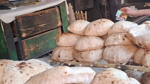 دعم الخبز النقدي يبدأ أول أغسطس دون تغيير في حصة المواطن